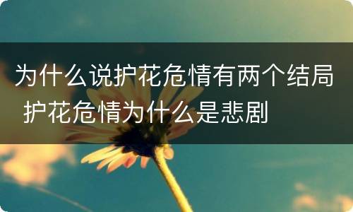 为什么说护花危情有两个结局 护花危情为什么是悲剧