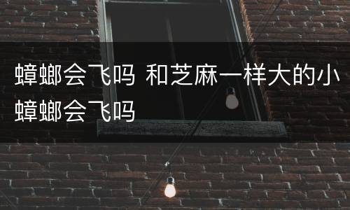 蟑螂会飞吗 和芝麻一样大的小蟑螂会飞吗
