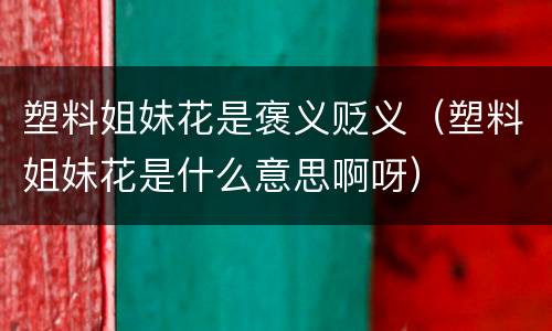 塑料姐妹花是褒义贬义（塑料姐妹花是什么意思啊呀）