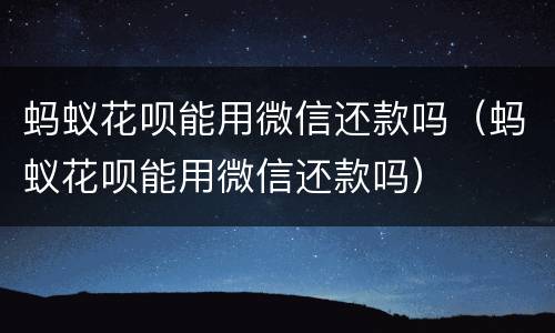 蚂蚁花呗能用微信还款吗（蚂蚁花呗能用微信还款吗）