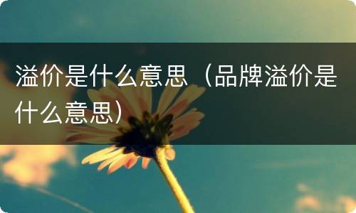 溢价是什么意思（品牌溢价是什么意思）