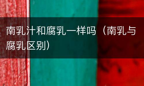 南乳汁和腐乳一样吗（南乳与腐乳区别）