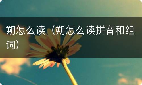 朔怎么读（朔怎么读拼音和组词）