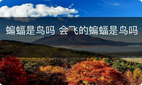 蝙蝠是鸟吗 会飞的蝙蝠是鸟吗