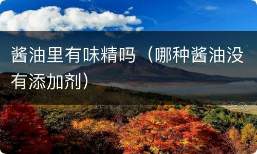 酱油里有味精吗（哪种酱油没有添加剂）