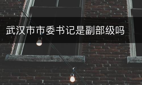 武汉市市委书记是副部级吗
