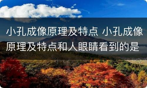 小孔成像原理及特点 小孔成像原理及特点和人眼睛看到的是正的