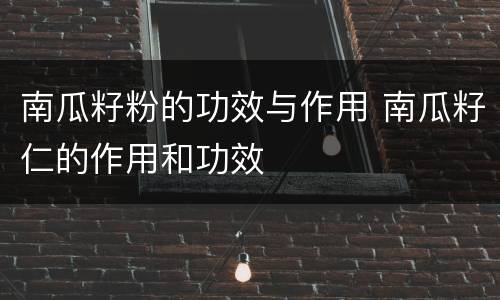 南瓜籽粉的功效与作用 南瓜籽仁的作用和功效