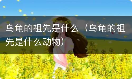 乌龟的祖先是什么（乌龟的祖先是什么动物）