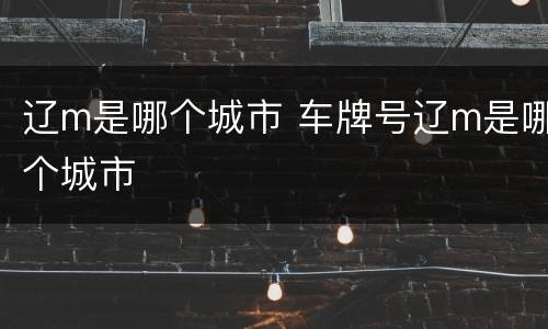 辽m是哪个城市 车牌号辽m是哪个城市