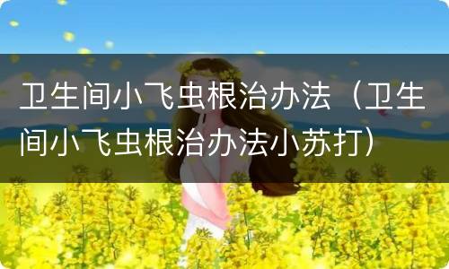 卫生间小飞虫根治办法（卫生间小飞虫根治办法小苏打）