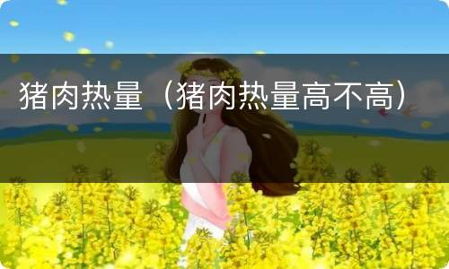 猪肉热量（猪肉热量高不高）