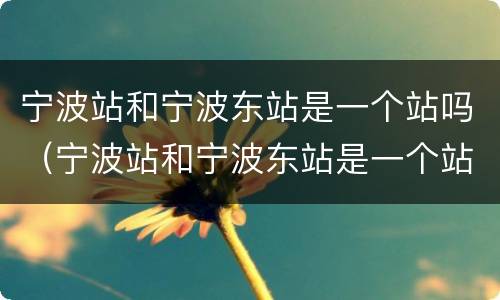 宁波站和宁波东站是一个站吗（宁波站和宁波东站是一个站吗?）