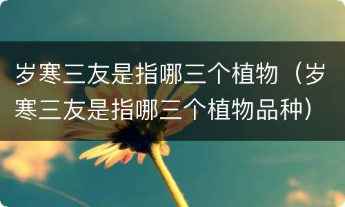岁寒三友是指哪三个植物（岁寒三友是指哪三个植物品种）