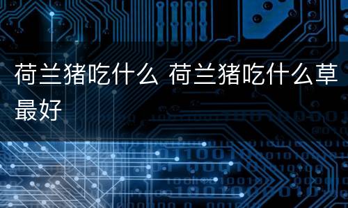 荷兰猪吃什么 荷兰猪吃什么草最好