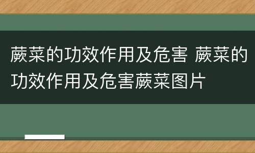 蕨菜的功效作用及危害 蕨菜的功效作用及危害蕨菜图片