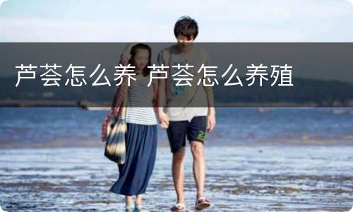 芦荟怎么养 芦荟怎么养殖