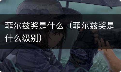 菲尔兹奖是什么（菲尔兹奖是什么级别）