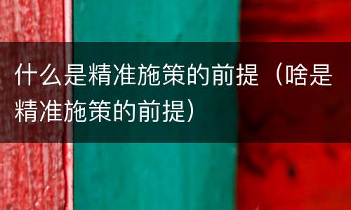 什么是精准施策的前提（啥是精准施策的前提）