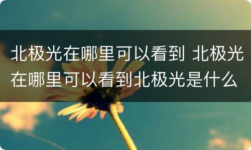 北极光在哪里可以看到 北极光在哪里可以看到北极光是什么