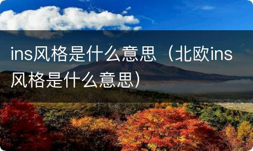 ins风格是什么意思（北欧ins风格是什么意思）