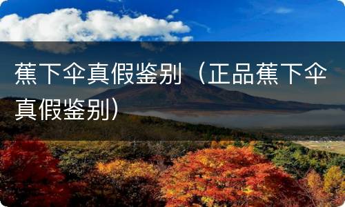 蕉下伞真假鉴别（正品蕉下伞真假鉴别）