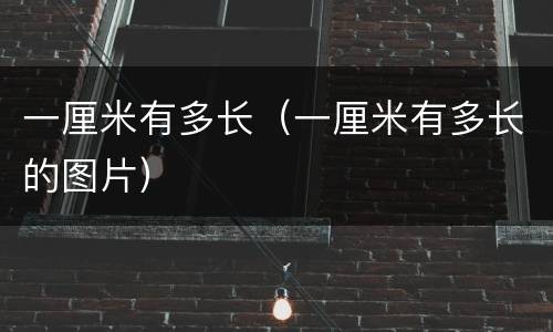 一厘米有多长（一厘米有多长的图片）