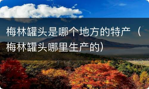 梅林罐头是哪个地方的特产（梅林罐头哪里生产的）