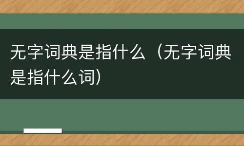 无字词典是指什么（无字词典是指什么词）