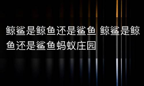 鲸鲨是鲸鱼还是鲨鱼 鲸鲨是鲸鱼还是鲨鱼蚂蚁庄园