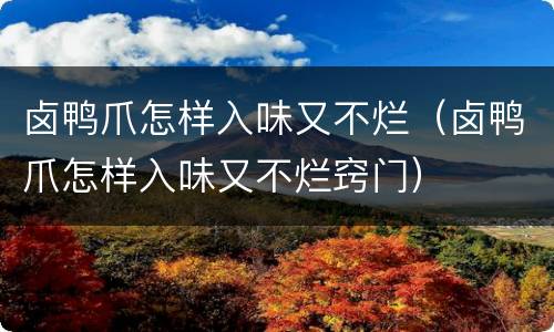 卤鸭爪怎样入味又不烂（卤鸭爪怎样入味又不烂窍门）