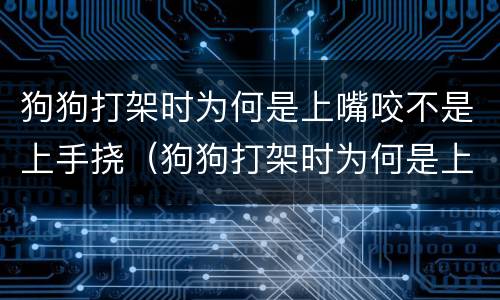 狗狗打架时为何是上嘴咬不是上手挠（狗狗打架时为何是上嘴咬不是上手挠下嘴）