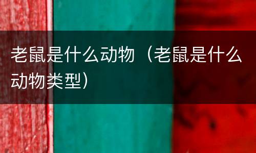 老鼠是什么动物（老鼠是什么动物类型）