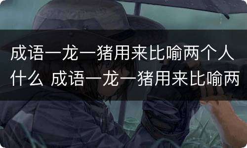成语一龙一猪用来比喻两个人什么 成语一龙一猪用来比喻两个人什么意思