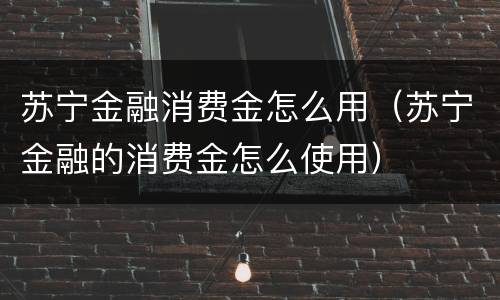 苏宁金融消费金怎么用（苏宁金融的消费金怎么使用）