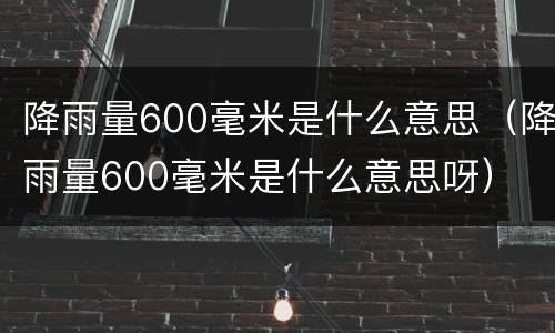 降雨量600毫米是什么意思（降雨量600毫米是什么意思呀）