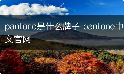 pantone是什么牌子 pantone中文官网