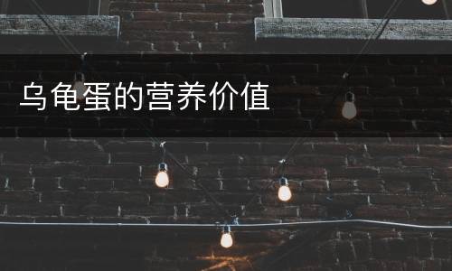 乌龟蛋的营养价值