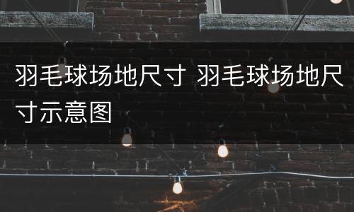羽毛球场地尺寸 羽毛球场地尺寸示意图