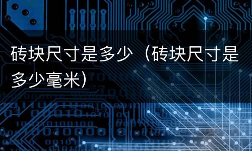 砖块尺寸是多少（砖块尺寸是多少毫米）