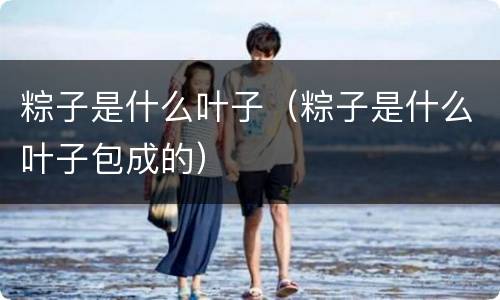粽子是什么叶子（粽子是什么叶子包成的）
