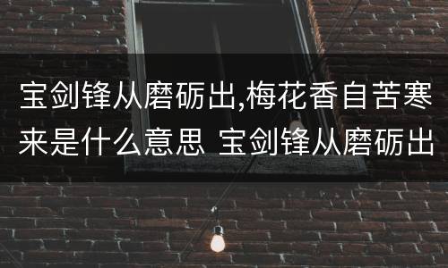 宝剑锋从磨砺出,梅花香自苦寒来是什么意思 宝剑锋从磨砺出,梅花香自苦寒来的含义