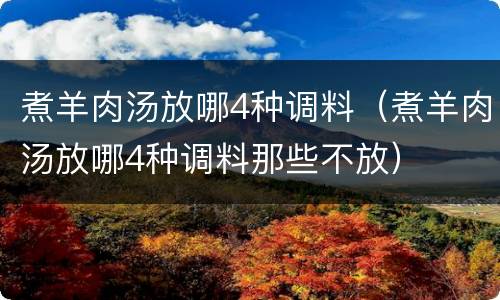 煮羊肉汤放哪4种调料（煮羊肉汤放哪4种调料那些不放）