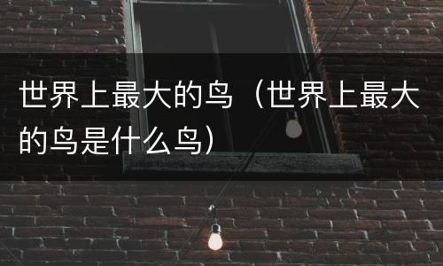 世界上最大的鸟（世界上最大的鸟是什么鸟）
