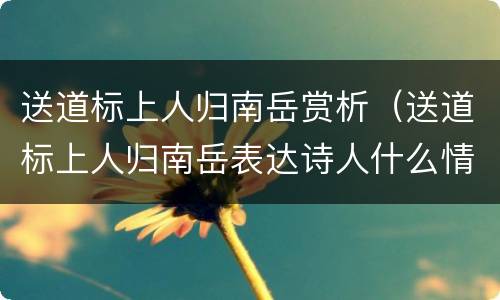 送道标上人归南岳赏析（送道标上人归南岳表达诗人什么情感）