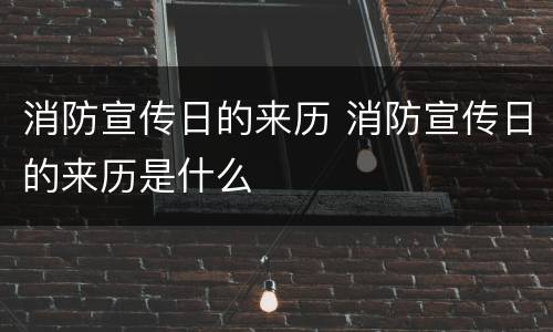 消防宣传日的来历 消防宣传日的来历是什么