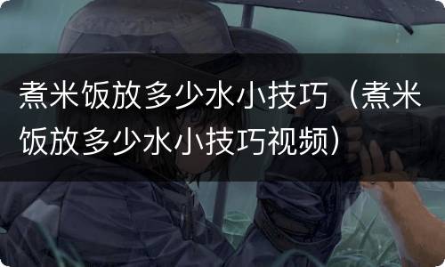 煮米饭放多少水小技巧（煮米饭放多少水小技巧视频）