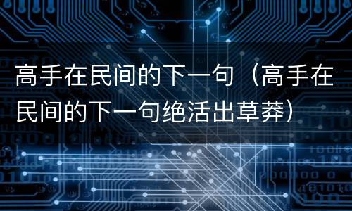 高手在民间的下一句（高手在民间的下一句绝活出草莽）