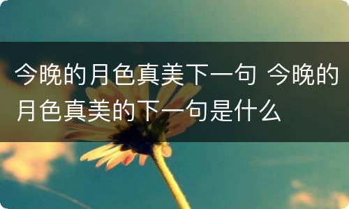 今晚的月色真美下一句 今晚的月色真美的下一句是什么