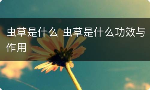 虫草是什么 虫草是什么功效与作用